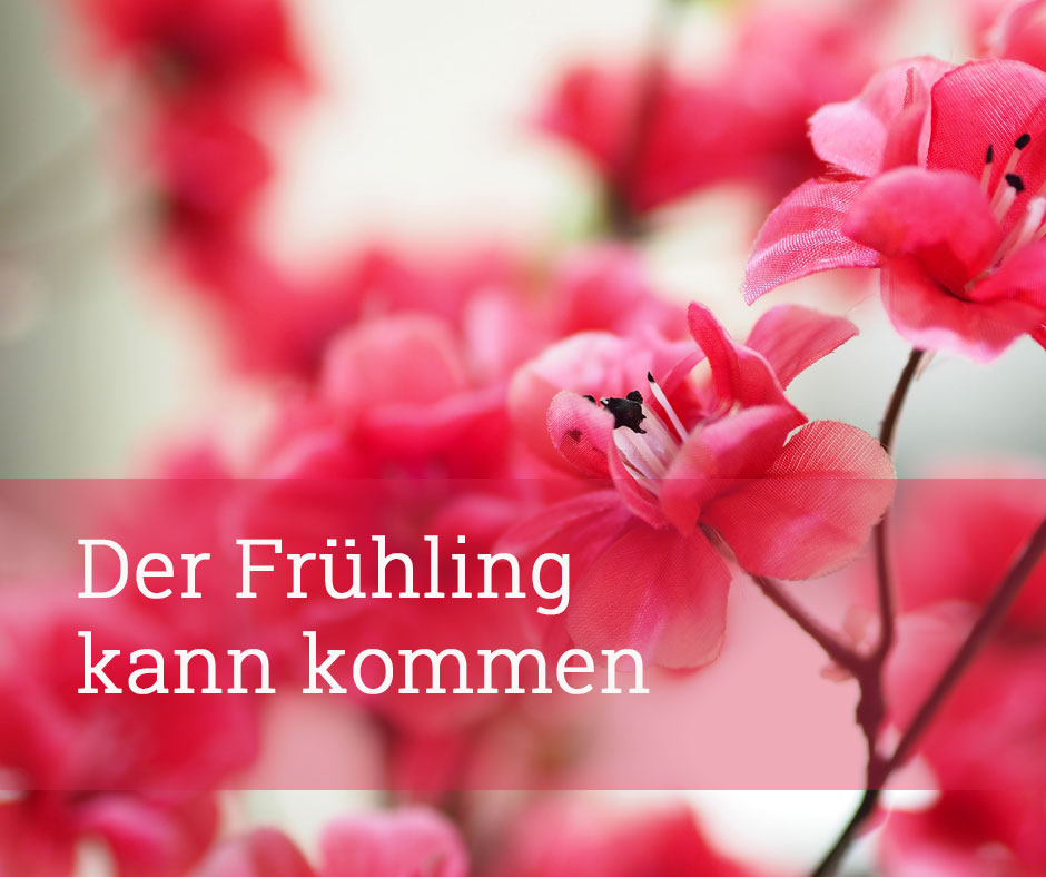 Design für Facebook: Gewinnspiel