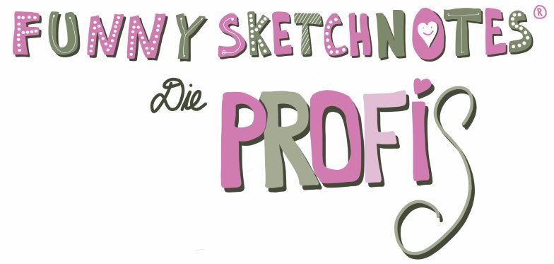 Funny Sketchnotes - die Profis Deine kleine Sketchnotes Aneitung